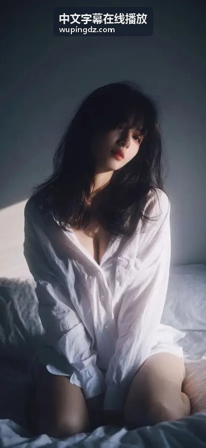  - 中文字幕在线播放